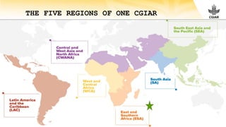 CGIAR in Ethiopia, transition and global perspectives: Transforming food, land and water systems in a climate crisis 