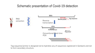 A sensitive detection method for Covid-19 Slide 4