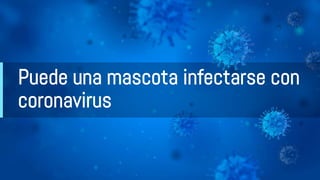 Puede una mascota infectarse con
coronavirus
 