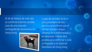 El 28 de febrero de este año
se confirmó el primer posible
caso de una mascota
contagiada de coronavirus en
Hong Kong.
Luego de someter al can a
una cuarentena de dos
semana se confirmó que el
can no muestra ningún
síntoma de la enfermedad, y
es necesario realizar otra
prueba para confirmar si está
contagiado o no aclaró el
Ministerio de Hong Kong.
7
 