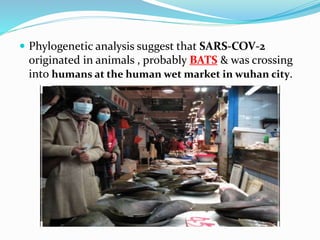  Phylogenetic analysis suggest that SARS-COV-2
originated in animals , probably BATS & was crossing
into humans at the human wet market in wuhan city.
 