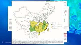 1. Ji W, Wang W, Zhao X, et al. Cross-species transmission of the newly identified coronavirus 2019- nCoV. J Med Virol. 2020 Apr;92(4):433-40
 