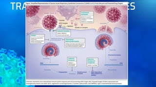 TRATAMIENTO EMERGENTES
 