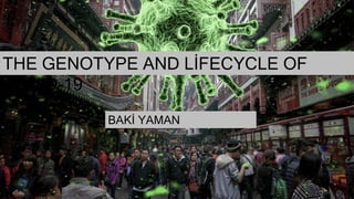 THE GENOTYPE AND LİFECYCLE OF
COVID-19
BAKİ YAMAN
 