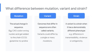 What difference between mutation, variant and strain?
The actual change in
sequence.
E.g. CAG codon wrong
nucleic acid get added
to the chain (CCG)
glutamine-to-proline
Genomes that differ in
sequence are often
called variants.
Variants could differ by
a single or many
mutations.
A variant is a strain when
it has a demonstrably
different phenotype
e.g. difference in
transmissibility, virulence
or antigenicity,
Mutation Variant Strain
 