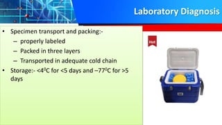 Laboratory Diagnosis
• Specimen transport and packing:-
– properly labeled
– Packed in three layers
– Transported in adequate cold chain
• Storage:- <40C for <5 days and –770C for >5
days
 