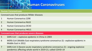 Human Coronaviruses
Human Coronaviruses
Coronaviruses that produces Milder diseases
1 Human Coronavirus 229E
2 Human Coronavirus NL63
3 Human Coronavirus OC43
4 Human Coronavirus HKU1
Coronaviruses that produces severe diseases
5 SARS-CoV :- explosive epidemic in China in 2003
6 MERS-CoV (Middle East respiratory syndrome coronavirus-2):- explosive epidemic in
Middle East in 2012.
7 SARS-CoV-2 (Severe acute respiratory syndrome coronavirus-2):- ongoing explosive
pandemics affecting whole world in 2019-21; called COVID-19
 