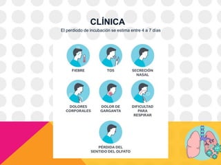 CLÍNICA
El perdiodo de incubación se estima entre 4 a 7 días
 