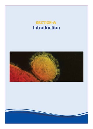 section-a
Introduction
 