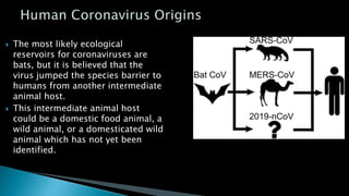  The most likely ecological
reservoirs for coronaviruses are
bats, but it is believed that the
virus jumped the species barrier to
humans from another intermediate
animal host.
 This intermediate animal host
could be a domestic food animal, a
wild animal, or a domesticated wild
animal which has not yet been
identified.
 