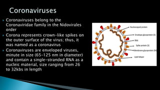  Coronaviruses belong to the
Coronaviridae family in the Nidovirales
order
 Corona represents crown-like spikes on
the outer surface of the virus; thus, it
was named as a coronavirus
 Coronaviruses are enveloped viruses,
minute in size (65–125 nm in diameter)
and contain a single-stranded RNA as a
nucleic material, size ranging from 26
to 32kbs in length
 