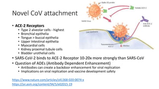 Novel CoV attachment
• ACE-2 Receptors
• Type 2 alveolar cells - highest
• Bronchial epithelia
• Tongue > buccal epithelia
• Upper Intestinal epithelia
• Myocardial cells
• Kidney proximal tubule cells
• Bladder urothelial cells
• SARS-CoV-2 binds to ACE-2 Receptor 10-20x more strongly than SARS-CoV
• Question of ADEs (Antibody Dependent Enhancement)
• Antibodies can create a backdoor enhancement for viral replication
• Implications on viral replication and vaccine development safety
https://www.nature.com/articles/s41368-020-0074-x
https://jvi.asm.org/content/94/5/e02015-19
 