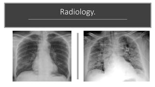 Radiology.
 