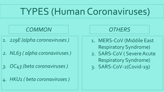 TYPES (Human Coronaviruses)
COMMON OTHERS
1. MERS-CoV (Middile East
Respiratory Syndrome)
2. SARS-CoV ( SevereAcute
Respiratory Syndrome)
3. SARS-CoV-2(Covid-19)
1. 229E (alpha coronaviruses )
2. NL63 ( alpha coronaviruses )
3. OC43 (beta coronaviruses )
4. HKU1 ( beta coronaviruses )
 