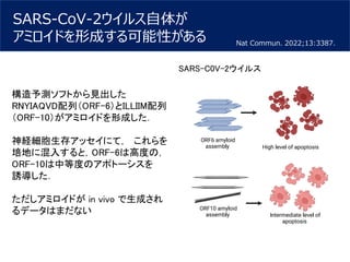 SARS-CoV-2ウイルス自体が
アミロイドを形成する可能性がある Nat Commun. 2022;13:3387.
構造予測ソフトから見出した
RNYIAQVD配列（ORF-6）とILLIIM配列
（ORF-10）がアミロイドを形成した．...