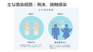 主な感染経路：飛沫、接触感染
 
