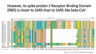 However, its spike protein S Receptor Binding Domain
(RBD) is closer to SARS than to SARS-like beta-CoV
Lancet, Vol. 395, ...
