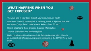 WHAT HAPPENS WHEN YOU
GET EXPOSED?
• The virus gets in your body through your eyes, nose, or mouth
• It attaches to the ACE2 receptors in the body, which is a protein that lines
our organs (lungs, heart, blood vessels, kidneys, liver, GI tract)
• Once it attaches to these proteins, it causes inflammation
• This can overwhelm your immune system
• Under certain conditions (increased risk factors discussed later), there is
an increased risk of experiencing severe symptoms of the COVID-19, or even
death
 
