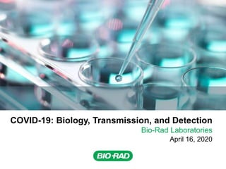 1
COVID-19: Biology, Transmission, and Detection
Bio-Rad Laboratories
April 16, 2020
 