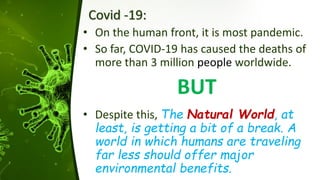 Covid -19:
• On the human front, it is most pandemic.
• So far, COVID-19 has caused the deaths of
more than 3 million people worldwide.
BUT
• Despite this, The Natural World, at
least, is getting a bit of a break. A
world in which humans are traveling
far less should offer major
environmental benefits.
 