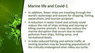 Marine life and Covid-1
• In addition, fewer ships are traveling through the
world’s waterways and oceans for shipping, fishing,
aquaculture, and tourism purposes.
• A reduction in water travel and activity could
reduce the risk of ships striking and injuring or
killing marine animals. It may also reduce the
marine disruption that occurs due to noise
pollution from ships, fishing sonar, and
recreational boats.
• In India reduced fishing and vehicle traffic at
nesting beaches may be boosting populations of
the critically endangered olive ridley sea turtle.
 