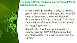 The Impact Of The Pandemic On The Natural World
Is Unlikely To Be Linear.
• It may also improve their ability to predict
global environmental changes and potential
cases of zoonoses, the transmission of
disease from animals to humans. This could
save millions of human lives, and economic
losses, going forward.
• Realistically, it will take years to assess
exactly how the COVID-19 pandemic has
affected wildlife, the environment, and the
climate.
 