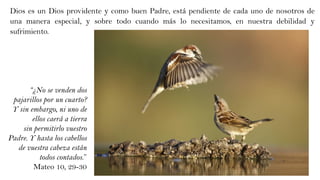 Dios es un Dios providente y como buen Padre, está pendiente de cada uno de nosotros de
una manera especial, y sobre todo cuando más lo necesitamos, en nuestra debilidad y
sufrimiento.
“¿No se venden dos
pajarillos por un cuarto?
Y sin embargo, ni uno de
ellos caerá a tierra
sin permitirlo vuestro
Padre. Y hasta los cabellos
de vuestra cabeza están
todos contados.”
Mateo 10, 29-30
 