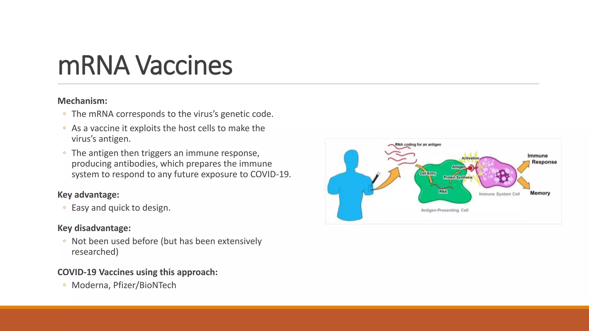 Covid 19 Vaccines