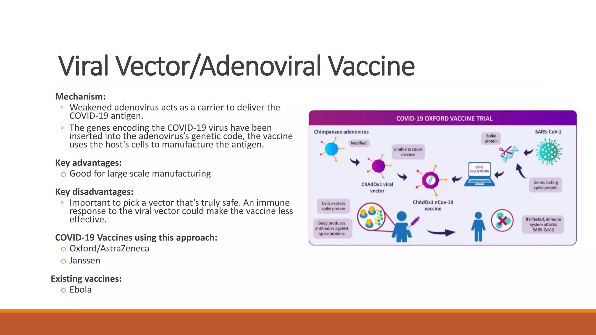 Covid 19 Vaccines