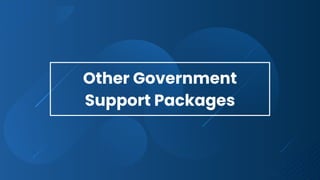Other Government
Support Packages
 