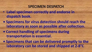 SPECIMEN DESPATCH
• Label specimen correctly and endorse in
dispatch book.
• Specimens for virus detection should reach the
laboratory as soon as possible after collection.
• Correct handling of specimens during
transportation is essential.
• Specimens that can be delivered promptly to the
laboratory can be stored and shipped at 2-8°C
 