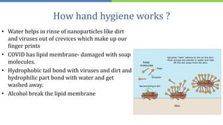 How hand hygiene works ?
• Water helps in rinse of nanoparticles like dirt
and viruses out of crevices which make up our
finger prints
• COVID has lipid membrane- damaged with soap
molecules.
• Hydrophobic tail bond with viruses and dirt and
hydrophilic part bond with water and get
washed away.
• Alcohol break the lipid membrane
 