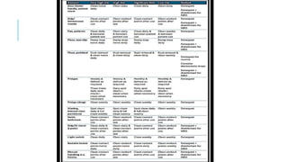 INFECTION CONTROL PROTOCOL DURING COVID-19 IN DENTISTRY