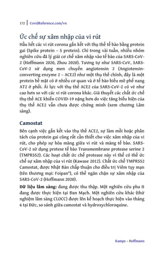 172 | CovidReference.com/vn
Kamps – Hoffmann
Ức chế sự xâm nhập của vi rút
Hầu hết các vi rút corona gắn kết với thụ thể tế bào bằng protein
gai (Spike protein – S protein). Chỉ trong vài tuần, nhiều nhóm
nghiên cứu đã lý giải cơ chế xâm nhập vào tế bào của SARS-CoV-
2 (Hoffmann 2020, Zhou 2020). Tương tự như SARS-CoV, SARS-
CoV-2 sử dụng men chuyển angiotensin 2 (Angiotensin-
converting enzyme 2 – ACE2) như một thụ thể chính, đây là một
protein bề mặt có ở nhiều cơ quan và ở tế bào biểu mô phế nang
AT2 ở phổi. Ái lực với thụ thể ACE2 của SARS-CoV-2 có vẻ như
cao hơn so với các vi rút corona khác. Giả thuyết các chất ức chế
thụ thể ACE khiến COVID-19 nặng hơn do việc tăng biểu hiện của
thụ thể ACE2 vẫn chưa được chứng minh (xem chương Lâm
sàng).
Camostat
Bên cạnh việc gắn kết vào thụ thể ACE2, sự làm mồi hoặc phân
tách của protein gai cũng rất cần thiết cho việc xâm nhập của vi
rút, cho phép sự hòa màng giữa vi rút và màng tế bào. SARS-
CoV-2 sử dụng protese tế bào Transmembrane protease serine 2
(TMPRSS2). Các hoạt chất ức chế protease này vì thế có thể ức
chế sự xâm nhập của vi rút (Kawase 2012). Chất ức chế TMPRSS2
Camostat, được Nhật Bản chấp thuận cho điều trị Viêm tụy mạn
(tên thương mại: Foipan®), có thể ngăn chặn sự xâm nhập của
SARS-CoV-2 (Hoffmann 2020).
Dữ liệu lâm sàng: đang được thu thập. Một nghiên cứu pha II
đang được thực hiện tại Đan Mạch. Một nghiên cứu khác (thử
nghiệm lâm sàng CLOCC) được lên kế hoạch thực hiện vào tháng
6 tại Đức, so sánh giữa camostat và hydroxychloroquine.
 