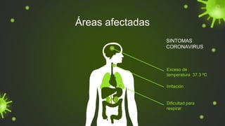 Áreas afectadas
SINTOMAS
CORONAVIRUS
Exceso de
temperatura 37.3 ºC
Irritación
Dificultad para
respirar
 