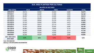 PÁGINA 6
ÍNDICE
ANO-SAFRA SOJA MILHO TRIGO ALGODÃO TOTAL
EUA: ÁREA PLANTADA POR CULTURAS
MILHÕES DE HECTARES
2009/2010 30,910 34,960 23,920 3,680 93,470
2010/2011 31,360 35,690 21,690 4,450 93,190
2011/2012 30,350 37,190 22,020 5,950 95,510
2012/2013 31,241 39,340 22,540 4,980 98,101
2013/2014 31,040 38,560 22,720 4,210 96,530
2014/2015 33,700 36,660 22,990 4,470 97,820
2015/2016 33,450 35,610 22,110 3,470 94,640
2016/2017 33,760 38,040 20,300 4,080 96,180
2017/2018 36,480 36,490 18,620 5,104 96,694
2018/2019 36,100 35,980 19,340 5,710 97,130
2019/2020 30,800 36,300 18,290 5,560 90,950
2020/2021 33,790 39,260 18,090 5,545 96,685
VAR. 2020-2021/
2019-2020
9,7% 8,2% -1,1% -0,3% 6,3%
Fonte: USDA MAIO/2020
Elaboração: COGO INTELIGÊNCIA EM AGRONEGÓCIO
 