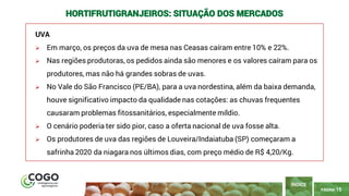 15
PÁGINA 15
UVA
➢ Em março, os preços da uva de mesa nas Ceasas caíram entre 10% e 22%.
➢ Nas regiões produtoras, os pedidos ainda são menores e os valores caíram para os
produtores, mas não há grandes sobras de uvas.
➢ No Vale do São Francisco (PE/BA), para a uva nordestina, além da baixa demanda,
houve significativo impacto da qualidade nas cotações: as chuvas frequentes
causaram problemas fitossanitários, especialmente míldio.
➢ O cenário poderia ter sido pior, caso a oferta nacional de uva fosse alta.
➢ Os produtores de uva das regiões de Louveira/Indaiatuba (SP) começaram a
safrinha 2020 da niagara nos últimos dias, com preço médio de R$ 4,20/Kg.
ÍNDICE
HORTIFRUTIGRANJEIROS: SITUAÇÃO DOS MERCADOS
 