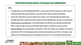 16
PÁGINA 16
UVA
➢ A região de Louveira/Indaiatuba (SP) é a única que oferta niagara em abril, mas a
colheita ainda não está intensa, o que traz alívio, dada a baixa demanda.
➢ O pico de safra deve ocorrer apenas em maio, com manutenção da oferta até
meados de junho, ainda havendo relatos de dificuldades em escoar as produções.
➢ Riscos para os produtores: a intensificação da colheita nas regiões de Marialva
(PR) e Vale do São Francisco (PE/BA) deve elevar a oferta no próximo mês.
➢ Oportunidades: as exportações cresceram 120% em março em relação ao mesmo
período de 2019 e há espaços para manter exportações aos EUA e à Europa, mas
ainda com incertezas quanto ao impacto do Covid-19 no mercado internacional.
ÍNDICE
HORTIFRUTIGRANJEIROS: SITUAÇÃO DOS MERCADOS
 
