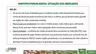 20
PÁGINA 20
MELÃO
➢ Os envios da fruta embalada para o Sudeste ainda estão bastante limitados por
conta da atual situação econômica do País e a oferta, que já deveria estar grande
na região do Vale, ainda está contida.
➢ Riscos para os produtores: no curto e médio prazo, tudo indica que a demanda
dessa fruta, que tem maior valor agregado, deve continuar pressionada.
➢ Oportunidades: a colheita de melão amarelo deve aumentar no Vale (BA/PE), mas
a oferta de pele de sapo tende a diminuir nos próximos meses, por conta do fim da
safra principal no RN/CE (maior região produtora); e os produtores do Vale voltam a
distribuir frutas embaladas para os grandes centros consumidores.
ÍNDICE
HORTIFRUTIGRANJEIROS: SITUAÇÃO DOS MERCADOS
 