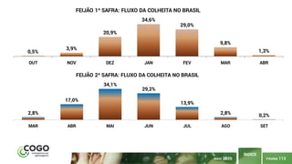 PÁGINA 113
ÍNDICE
0,5%
3,9%
20,9%
34,6%
29,0%
9,8%
1,3%
OUT NOV DEZ JAN FEV MAR ABR
FEIJÃO 1ª SAFRA: FLUXO DA COLHEITA NO BRASIL
2,8%
17,0%
34,1%
29,2%
13,9%
2,8% 0,2%
MAR ABR MAI JUN JUL AGO SET
FEIJÃO 2ª SAFRA: FLUXO DA COLHEITA NO BRASIL
MAIO 2020
 