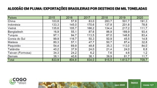 PÁGINA 127
ÍNDICE
MAIO 2020
ALGODÃO EM PLUMA: EXPORTAÇÕES BRASILEIRAS POR DESTINOS EM MIL TONELADAS
 