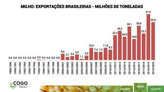 PÁGINA 64
ÍNDICE
MAIO 2020
0,0 0,0 0,0 0,0 0,0 0,0 0,5 0,2 0,0 0,0 0,0
5,6
2,7 3,6
5,0
1,1
3,9
10,9
7,4 7,3
11,0
9,3
22,3
26,2
20,9
30,1
18,8
30,8
23,7
41,2
34,0
1989/1990
1990/1991
1991/1992
1992/1993
1993/1994
1994/1995
1995/1996
1996/1997
1997/1998
1998/1999
1999/2000
2000/2001
2001/2002
2002/2003
2003/2004
2004/2005
2005/2006
2006/2007
2007/2008
2008/2009
2009/2010
2010/2011
2011/2012
2012/2013
2013/2014
2014/2015
2015/2016
2016/2017
2017/2018
2018/2019
2019/2020
MILHO: EXPORTAÇÕES BRASILEIRAS - MILHÕES DE TONELADAS
 