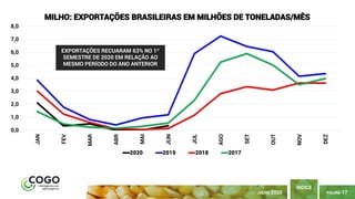 PÁGINA 17
ÍNDICE
JULHO 2020
0,0
1,0
2,0
3,0
4,0
5,0
6,0
7,0
8,0
JAN
FEV
MAR
ABR
MAI
JUN
JUL
AGO
SET
OUT
NOV
DEZ
MILHO: EXPORTAÇÕES BRASILEIRAS EM MILHÕES DE TONELADAS/MÊS
2020 2019 2018 2017
EXPORTAÇÕES RECUARAM 63% NO 1º
SEMESTRE DE 2020 EM RELAÇÃO AO
MESMO PERÍODO DO ANO ANTERIOR
 