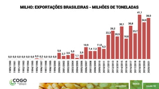 PÁGINA 18
ÍNDICE
JULHO 2020
0,0 0,0 0,0 0,0 0,0 0,0 0,5 0,2 0,0 0,0 0,0
5,6
2,7 3,6
5,0
1,1
3,9
10,9
7,4 7,3
11,0
9,3
22,3
26,2
20,9
30,1
18,8
30,8
23,7
41,1
34,0
38,0
1989/1990
1990/1991
1991/1992
1992/1993
1993/1994
1994/1995
1995/1996
1996/1997
1997/1998
1998/1999
1999/2000
2000/2001
2001/2002
2002/2003
2003/2004
2004/2005
2005/2006
2006/2007
2007/2008
2008/2009
2009/2010
2010/2011
2011/2012
2012/2013
2013/2014
2014/2015
2015/2016
2016/2017
2017/2018
2018/2019
2019/2020
2020/2021
MILHO: EXPORTAÇÕES BRASILEIRAS - MILHÕES DE TONELADAS
 