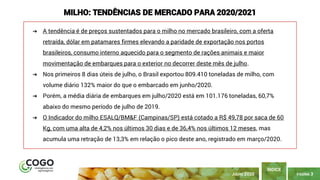 PÁGINA 3
ÍNDICE
JULHO 2020
MILHO: TENDÊNCIAS DE MERCADO PARA 2020/2021
➔ A tendência é de preços sustentados para o milho no mercado brasileiro, com a oferta
retraída, dólar em patamares firmes elevando a paridade de exportação nos portos
brasileiros, consumo interno aquecido para o segmento de rações animais e maior
movimentação de embarques para o exterior no decorrer deste mês de julho.
➔ Nos primeiros 8 dias úteis de julho, o Brasil exportou 809.410 toneladas de milho, com
volume diário 132% maior do que o embarcado em junho/2020.
➔ Porém, a média diária de embarques em julho/2020 está em 101.176 toneladas, 60,7%
abaixo do mesmo período de julho de 2019.
➔ O Indicador do milho ESALQ/BM&F (Campinas/SP) está cotado a R$ 49,78 por saca de 60
Kg, com uma alta de 4,2% nos últimos 30 dias e de 36,4% nos últimos 12 meses, mas
acumula uma retração de 13,3% em relação o pico deste ano, registrado em março/2020.
 