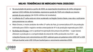 PÁGINA 4
ÍNDICE
JULHO 2020
MILHO: TENDÊNCIAS DE MERCADO PARA 2020/2021
➔ No acumulado de janeiro a junho de 2020, as exportações brasileiras de milho atingiram
apenas 3,322 milhões de toneladas, expressiva queda de 70,8% em relação ao mesmo
período do ano anterior (de 9,036 milhões de toneladas).
➔ A colheita da 2ª safra está em ritmo acelerado na Região Centro-Oeste, mas não o suficiente
para pressionar os valores.
➔ Mato Grosso, o maior produtor de milho 2ª safra do País, já comercializou 87% da produção
estimada para 2020 e registra vendas antecipada de 41% da produção esperada para 2021.
➔ Na Bolsa de Chicago, com a gradual recuperação dos preços do petróleo – cujas baixas
afetaram a produção e a competividade do etanol de milho produzido nos EUA –, as
cotações futuras com vencimentos em 2021 subiram para um patamar entre US$ 3,47 e US$
3,66 por bushel, ante US$ 3,30 por bushel para o vencimento setembro/2020.
 