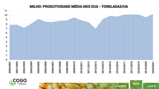 PÁGINA 9
ÍNDICE
JULHO 2020
0
1
2
3
4
5
6
7
8
9
10
11 2000/2001
2001/2002
2002/2003
2003/2004
2004/2005
2005/2006
2006/2007
2007/2008
2008/2009
2009/2010
2010/2011
2011/2012
2012/2013
2013/2014
2014/2015
2015/2016
2016/2017
2017/2018
2018/2019
2019/2020
2020/2021
MILHO: PRODUTIVIDADE MÉDIA NOS EUA - TONELADAS/HA
 