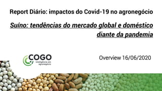 Report Diário: impactos do Covid-19 no agronegócio
Suíno: tendências do mercado global e doméstico
diante da pandemia
Overview 16/06/2020
 