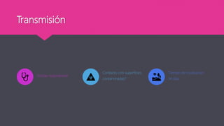 Transmisión
Gotitas respiratorias
Contacto con superficies
contaminadas?
Tiempo de incubación:
14 días
 