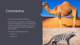 Coronavirus
 Virus de transmisión zoonótica
 En el humano ocasionan enfermedades
del tracto respiratorio como: Neumonía y
síndrome respiratorio agudo, así como
enfermedad renal, falla multiorgánica y
shock séptico.
 Se conoce el antecedente de:
 SARS CoV
 MERS CoV
 